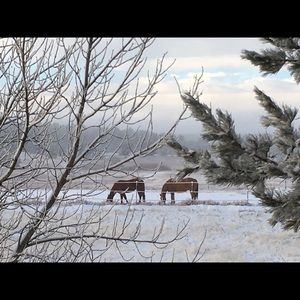 Meet your Posher, Dayna